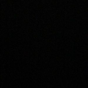 Meet your Posher, Reginald